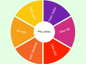 6 yếu tố chính của mô hình wellness